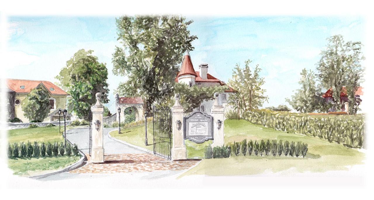 Chateau Brachet Grésy-sur-Aix Eksteriør bilde